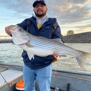 Meet your Posher, Jordan